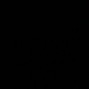 Meet your Posher, Armando